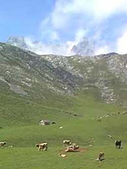 Teleférico de fuente dé, camaleno (Cantabria)