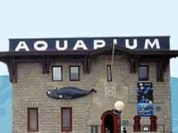 Aquarium donostia
