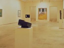 Museo de arte contemporáneo esteban vicente, Segovia