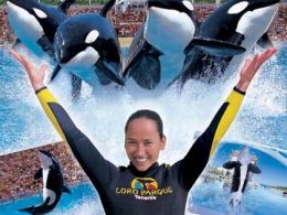 Loro parque, santa cruz de Tenerife