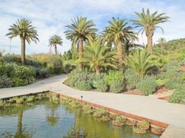 Jardí botànic de Barcelona