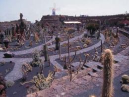Jardín de cactus, lanzarote