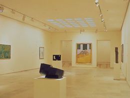 Museo de arte contemporáneo esteban vicente, Segovia