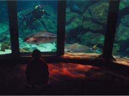 Aquarium finisterrae, la coruña