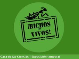 'Bichos vivos', casa de las ciencias, la coruña
