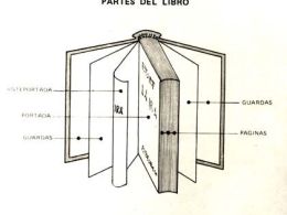 Taller: 'Anatomía de un libro', biblioteca nacional, Madrid