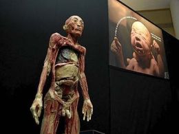 'Érase una vez... el cuerpo humano', museo de la ciencia de valladolid.
