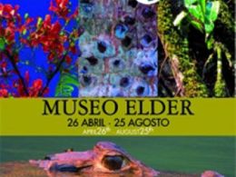 'Amazonía', Museo Elder de la ciencia y la tecnología, Las Palmas de Gran Canaria