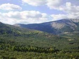 Taller: 'Un paseo que no veas', c.e.a. arboreto luis ceballos