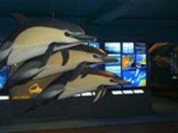 Museo de cetáceos de canarias, yaiza (lanzarote)