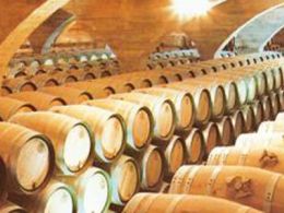 Vinobús: 'Vino y camino de santiago', la rioja