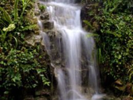 Jardín botánico atlántico, gijón (asturias)