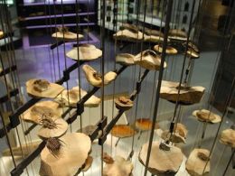 «¡viva la diferencia! el tesoro más valioso de los últimos mil millones de años», Cosmocaixa, Madrid