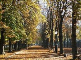 'Senderismo otoño-invierno 08/09', fundación mejora, vitoria