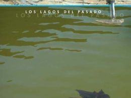 'Lagos del pasado', museo geominero, Madrid