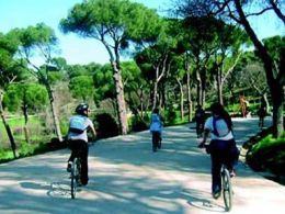 'Itinerarios en bicicleta por Madrid. Madrid desde el anillo', la casa encendida, Madrid