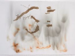 'Nueva york. el papel de las últimas vanguardias', museo de arte contemporáneo esteban vicente, Segovia