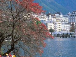 El lago léman, espejo de los alpes