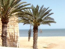 Isla de djerba, un oasis en el mediterráneo