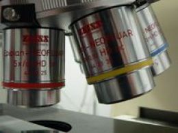 Taller: 'La vida al microscopio', Cosmocaixa Madrid