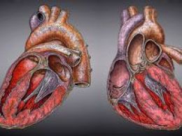 Taller: 'Cuidemos la salud del corazón',centrocaixa murcia