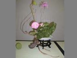 Taller de ikebana, centrocaixa murcia