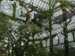 'Peter fischli / david weiss. ¿son los animales personas?', palacio de cristal y museo nacional centro de arte Reina Sofía, madr