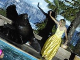 'Noches del zoo 2009'. zoo aquarium de Madrid