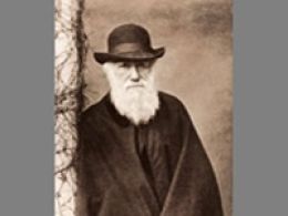 'La evolución de darwin', museo nacional de ciencias naturales, Madrid
