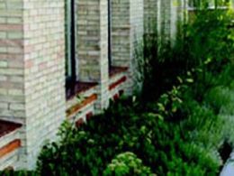 Curso: 'Jardinería en terrazas', la casa encendida, Madrid