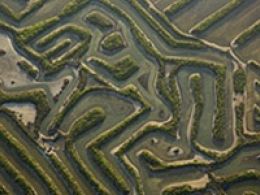 'Armonia fractal de doñana y las marismas', parque de las ciencias, Granada