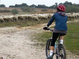 Itinerarios en bicicleta 'Las riberas madrileñas', la casa encendida, Madrid