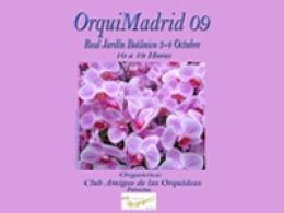 'OrquiMadrid 09', real jardín botánico, Madrid
