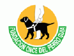 Exhibición de perros-guía en los jardines de la biblioteca nacional, Madrid