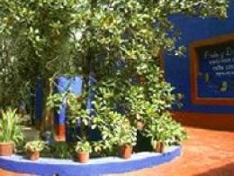 Museo frida kahlo, Ciudad de México