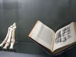 'Darwin observador, darwin naturalista'. Cosmocaixa Barcelona