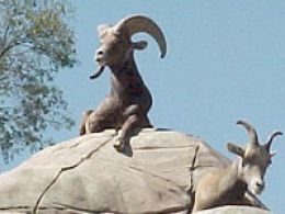 Zoológico de chapultepec, Ciudad de México