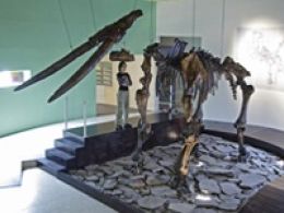 Museo de paleontología de guadalajara, (jalisco)