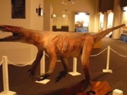 'Darwin vive, un hombre tranquilo y su r-evolución', museo de la ciencia de valladolid