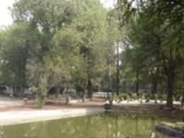 Jardín botánico de chapultepec, Ciudad de México