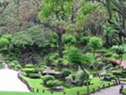 Bosque los colomos, guadalajara (jalisco)