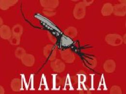 'Malaria', espacio cultural de Barcelona