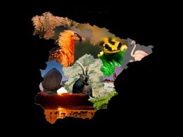 'Espacios naturales, guardianes de la biodiversidad', centro nacional de educación ambiental, valsaín (Segovia)