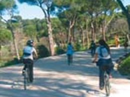 'Itinerarios en bicicleta por caminos que llevaban…', la casa encendida, Madrid