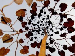'Aequilibrium, naturaleza en equilibrio', real jardín botánico, Madrid