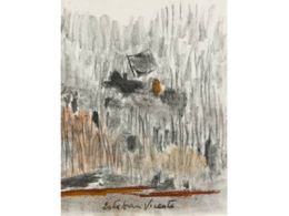 'Esteban vicente dibujos 1920 - 2000', museo de arte contemporáneo esteban vicente, Segovia