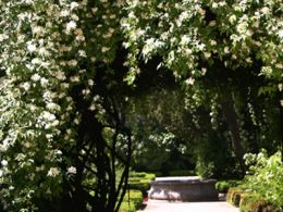 Visita guiada: 'Los bosques ibéricos', real jardín botánico, Madrid