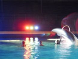'Noches del zoo 2010'. zoo aquarium de Madrid