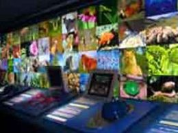 Naturnova centro interactivo de educación ambiental, Vigo