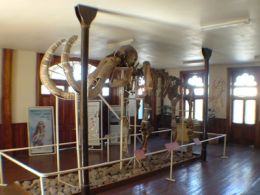 Museo del mamut, chihuahua